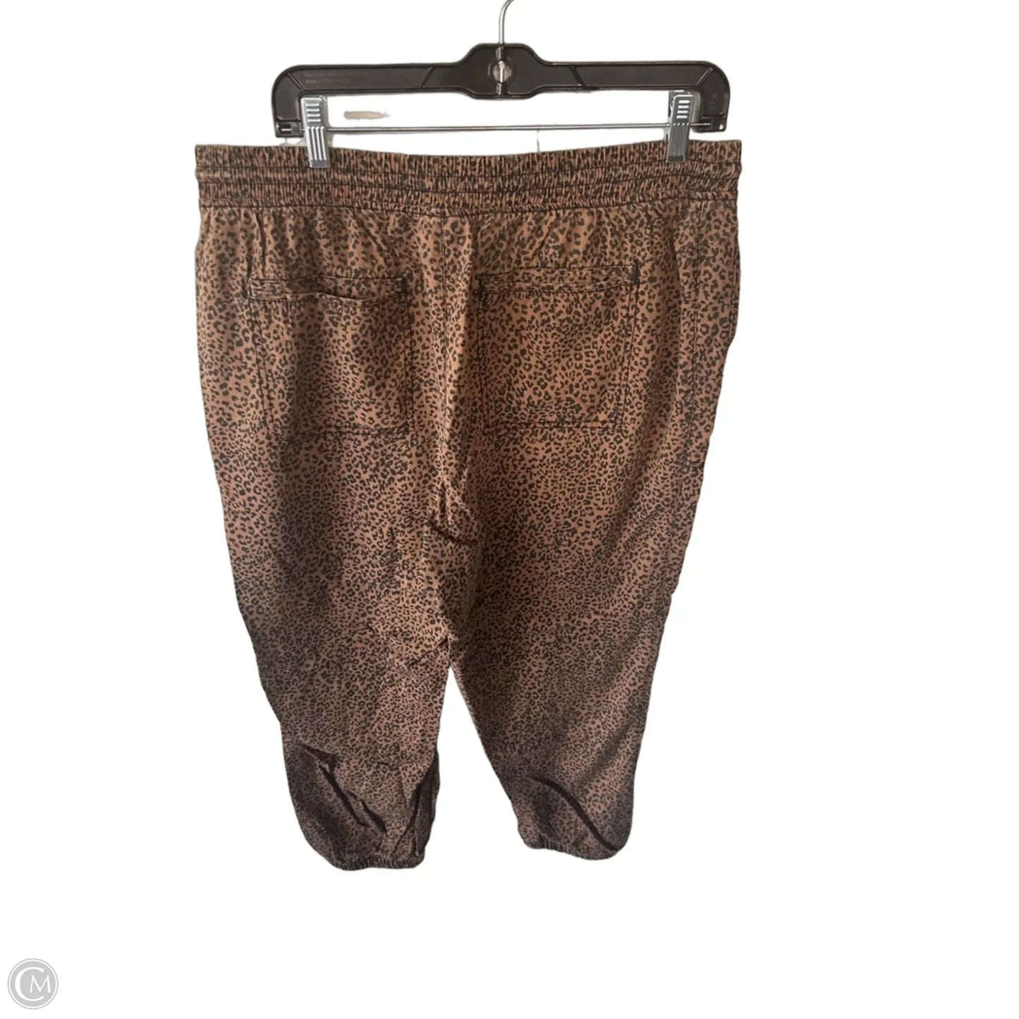Pants Other By Knox Rose In Black & Brown, Size: 12