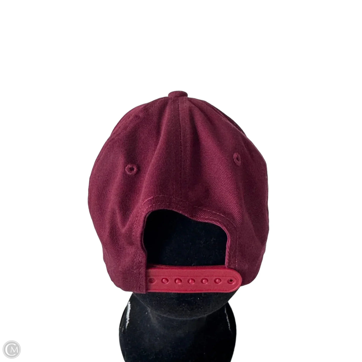 Hat Baseball Cap By Anthropologie