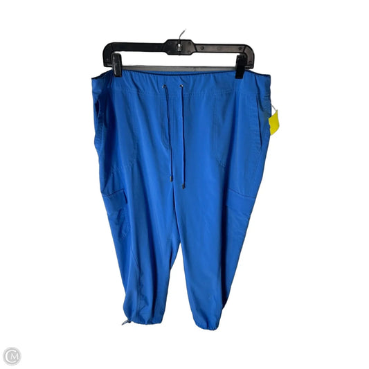 Pants Other By Zenergy By Chicos In Blue, Size: 14