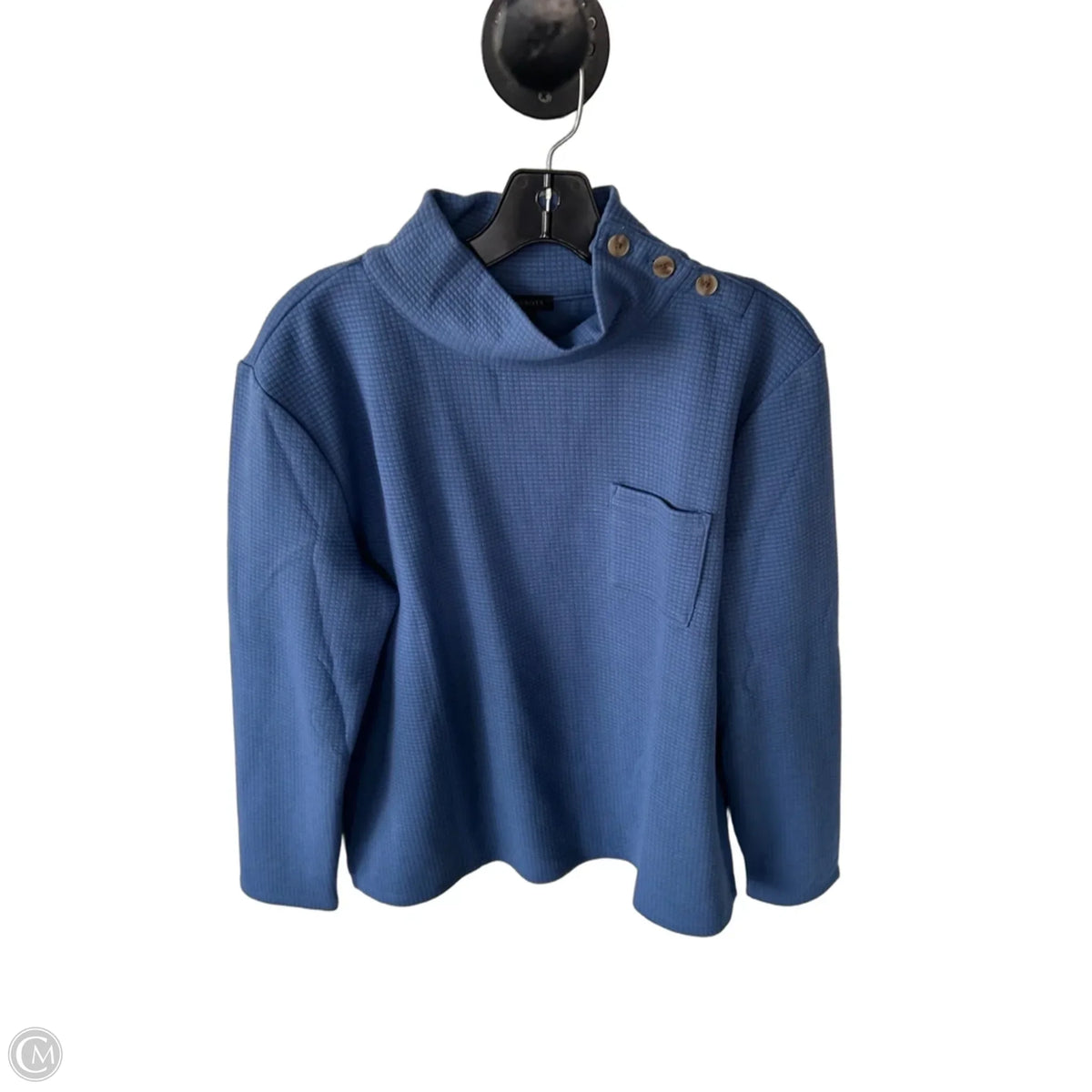 Top Long Sleeve By Talbots In Blue, Size: M