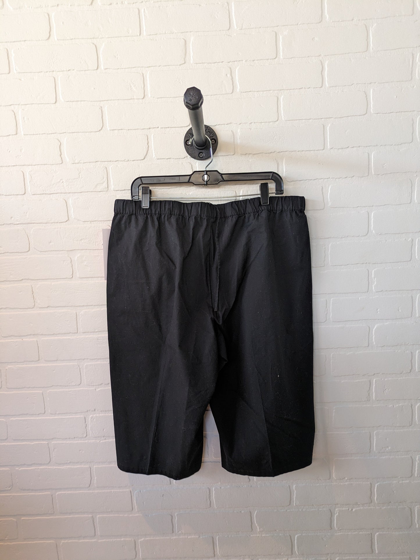 Shorts By Eileen Fisher  Size: 12