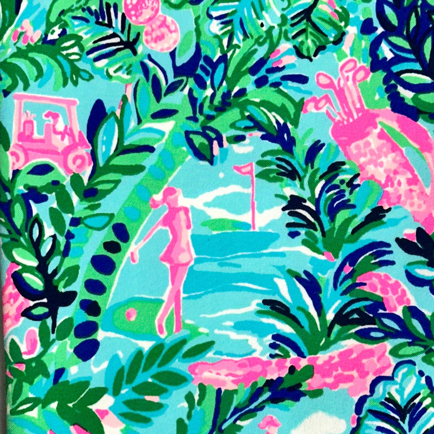 Pants Designer By Lilly Pulitzer In Blue & Pink, Size: 6