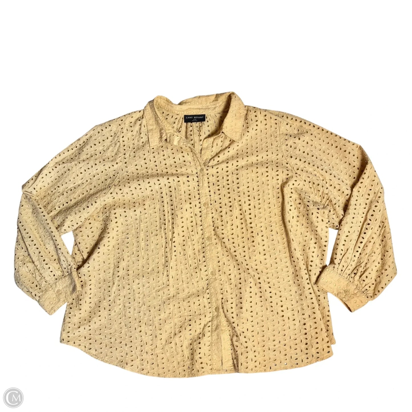 Top Long Sleeve By Lane Bryant In Tan, Size: 4x