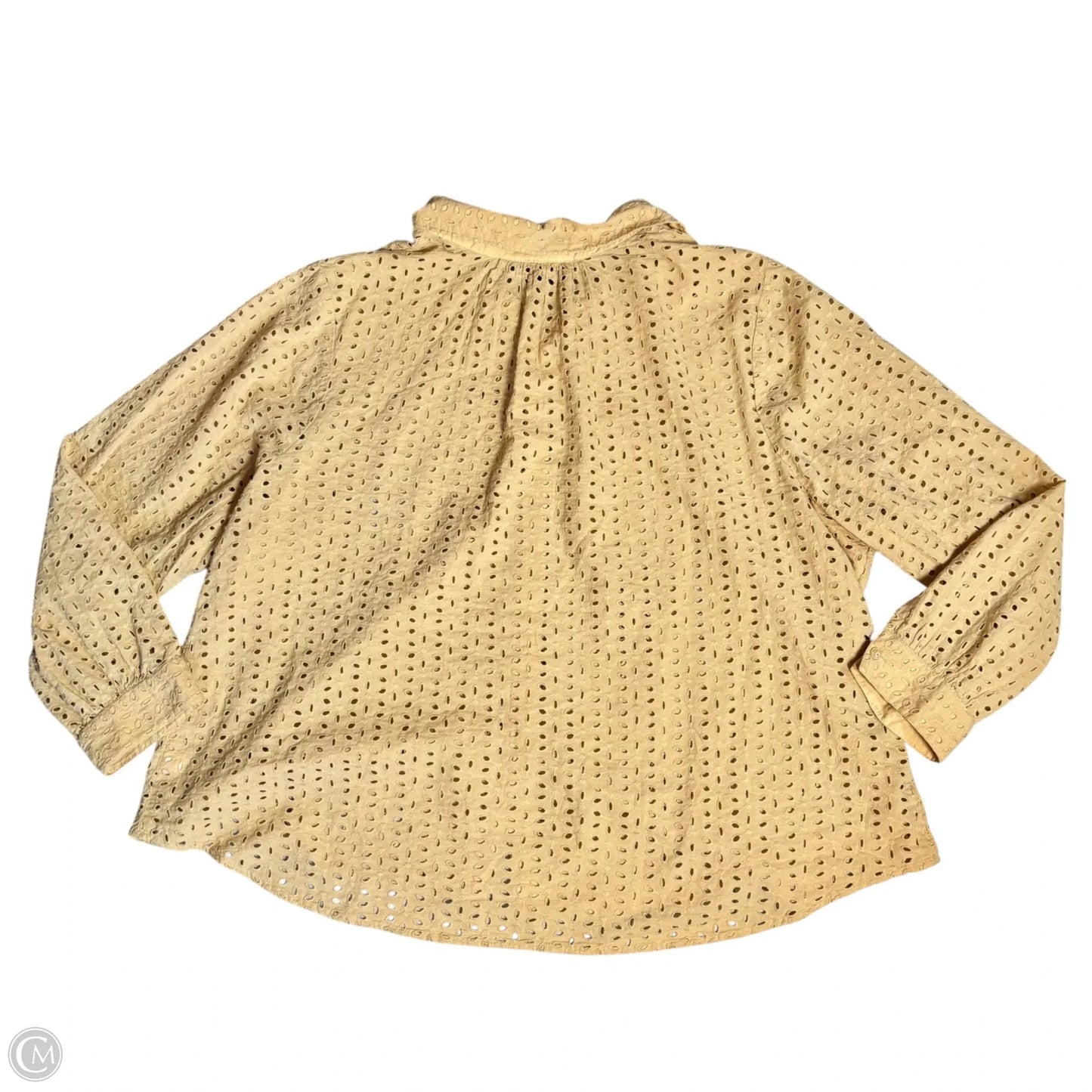 Top Long Sleeve By Lane Bryant In Tan, Size: 4x