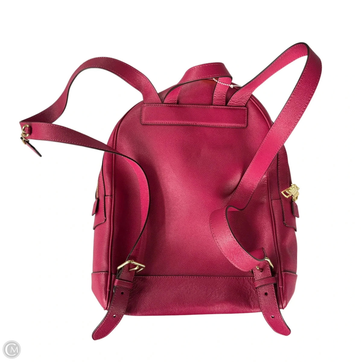 Backpack Designer By Coach, Size: Medium