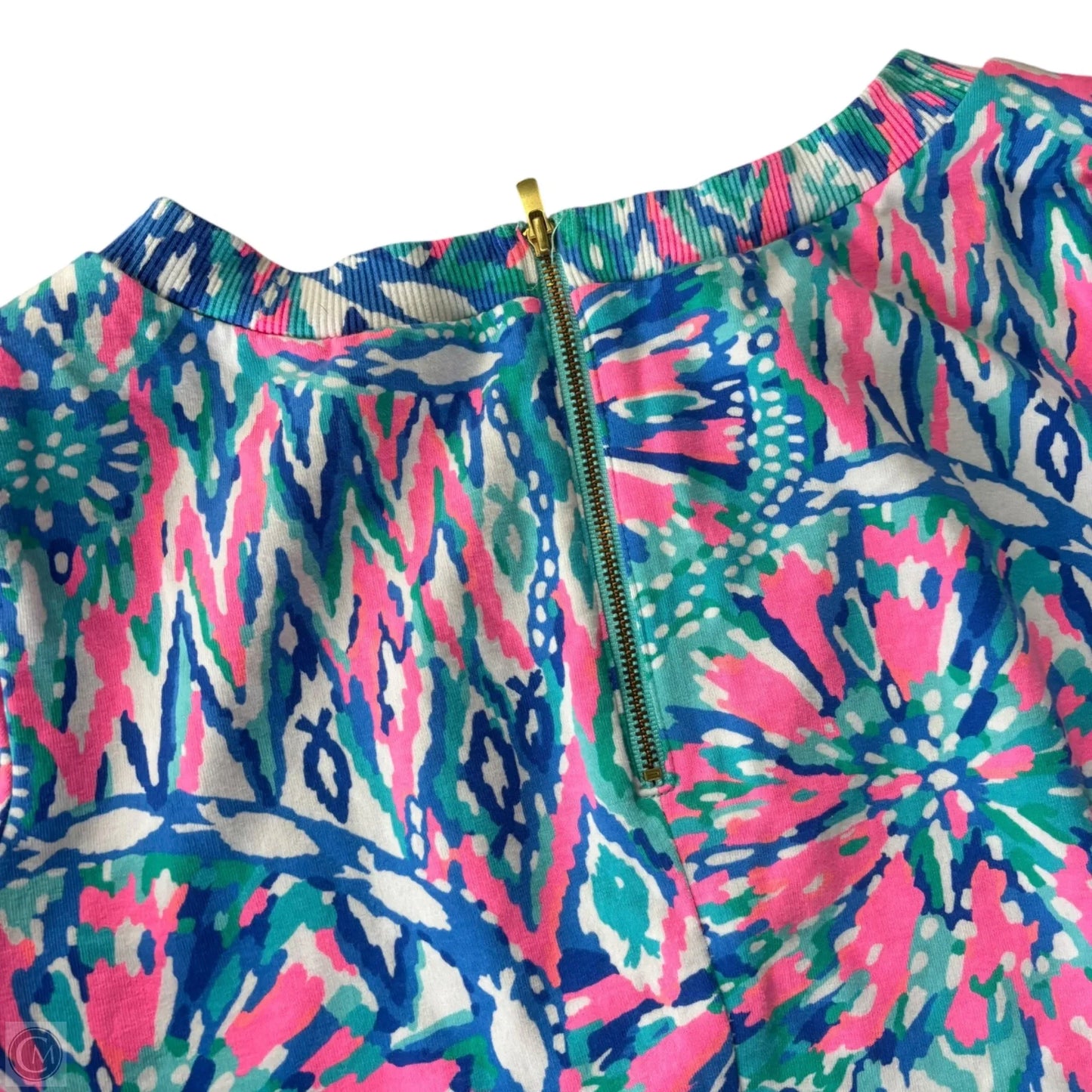 Skirt Designer By Lilly Pulitzer In Blue & Purple, Size: M