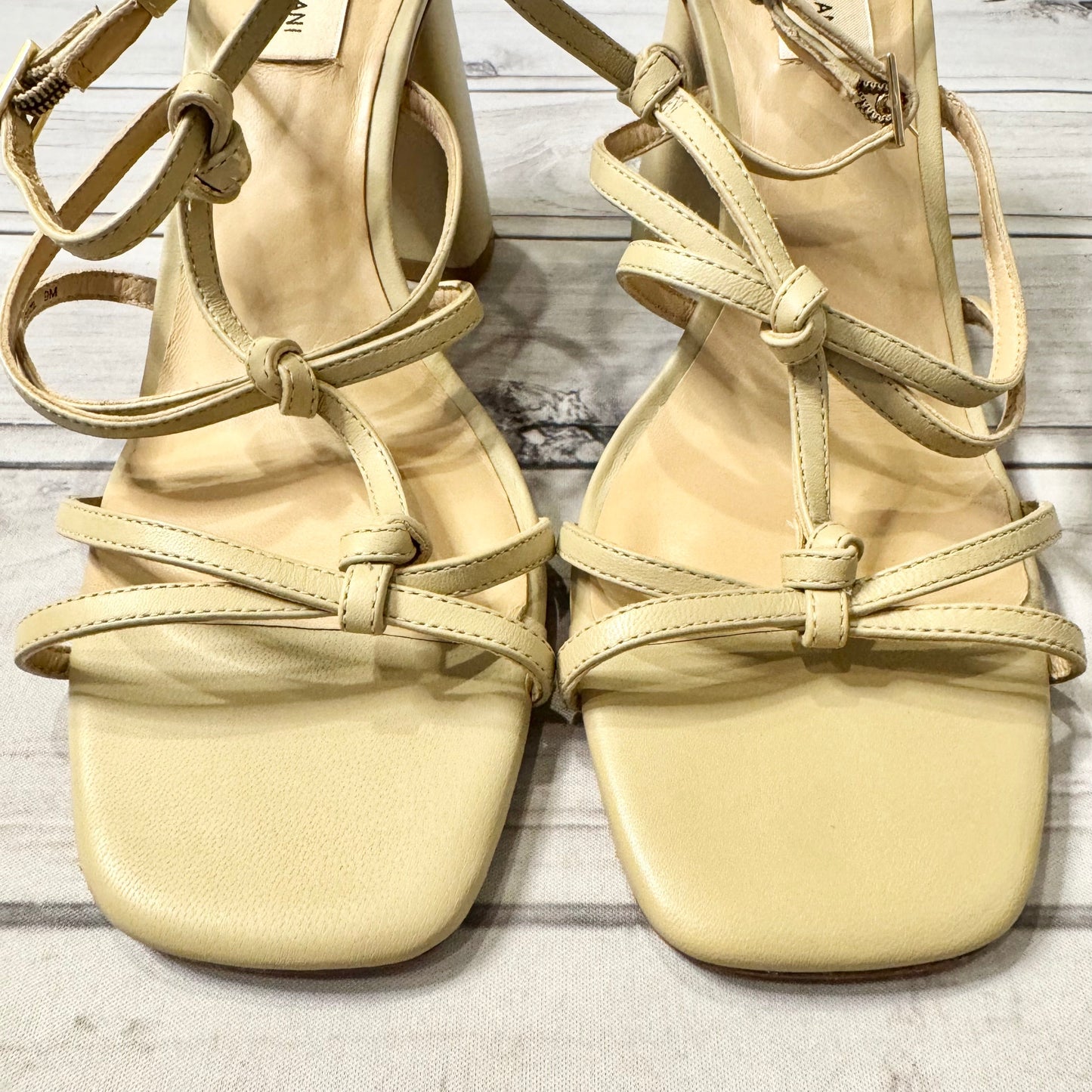Sandals Heels Block By Antonio Melani  Size: 9