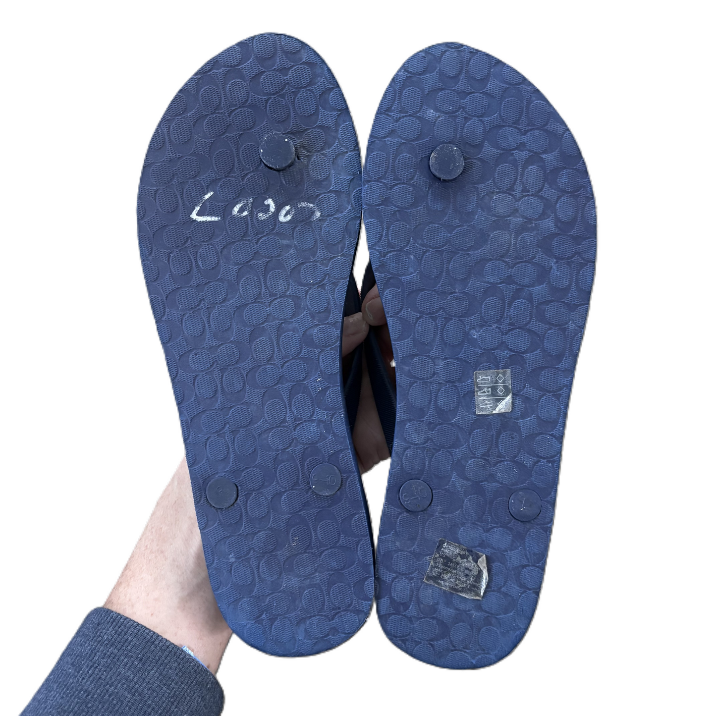 Sandals Designer By Coach In Navy, Size: 9.5