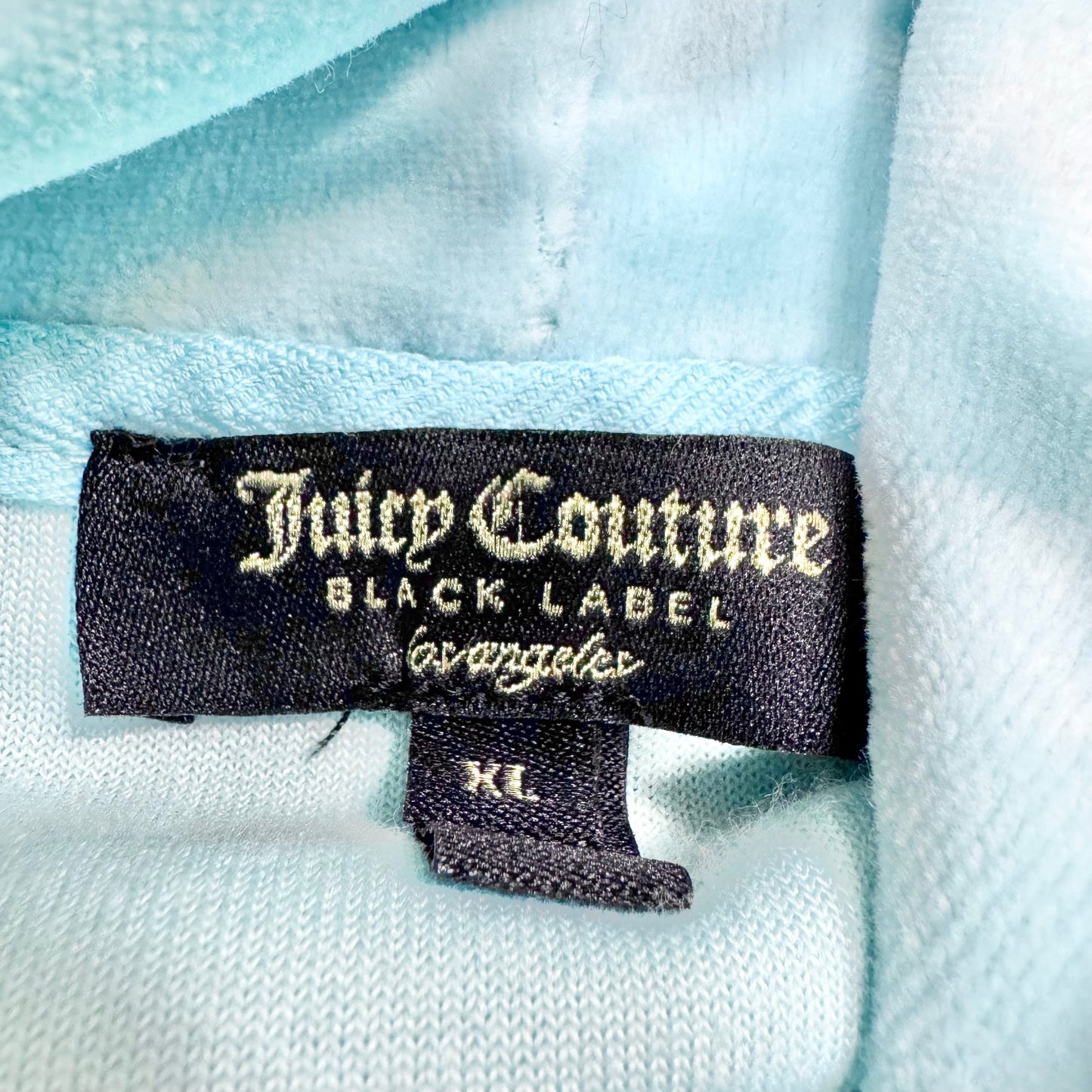 Sweatshirt Hoodie By Juicy Couture In Blue, Size: Xl