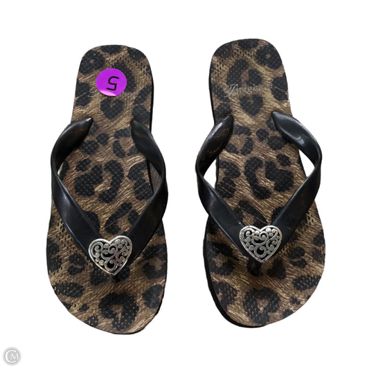 Sandals Flip Flops By Brighton In Animal Print, Size: 5