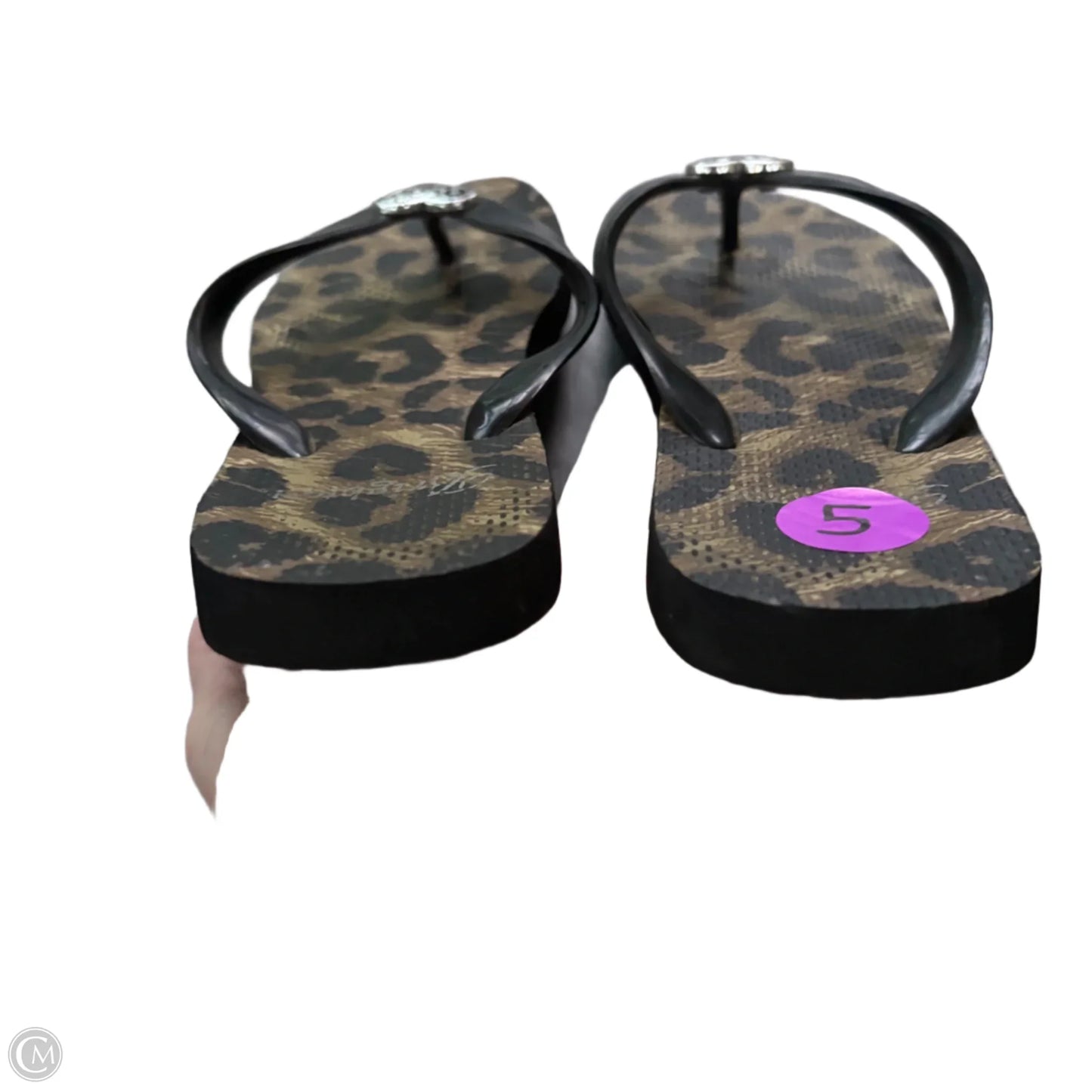 Sandals Flip Flops By Brighton In Animal Print, Size: 5