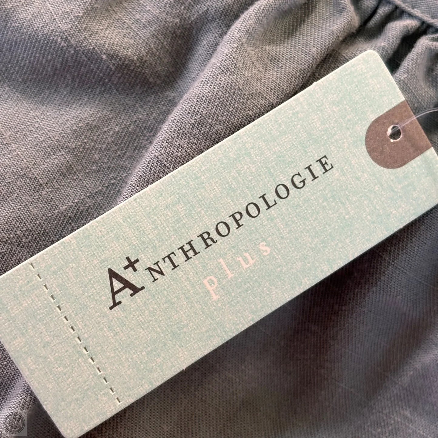 Dress Casual Short By Amadi In Blue, Size: 1x