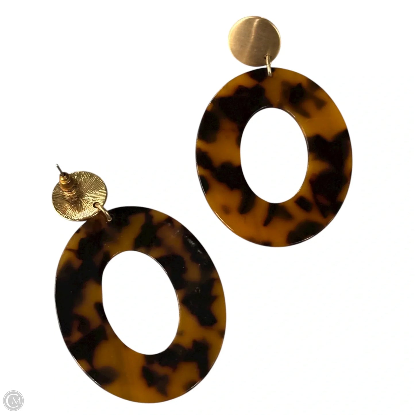 Earrings Dangle/drop