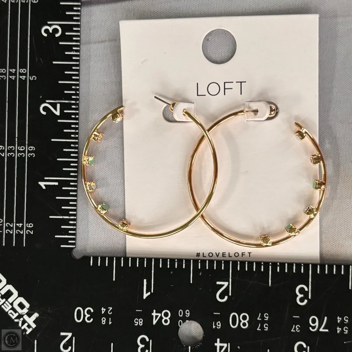 Earrings Hoop By Loft