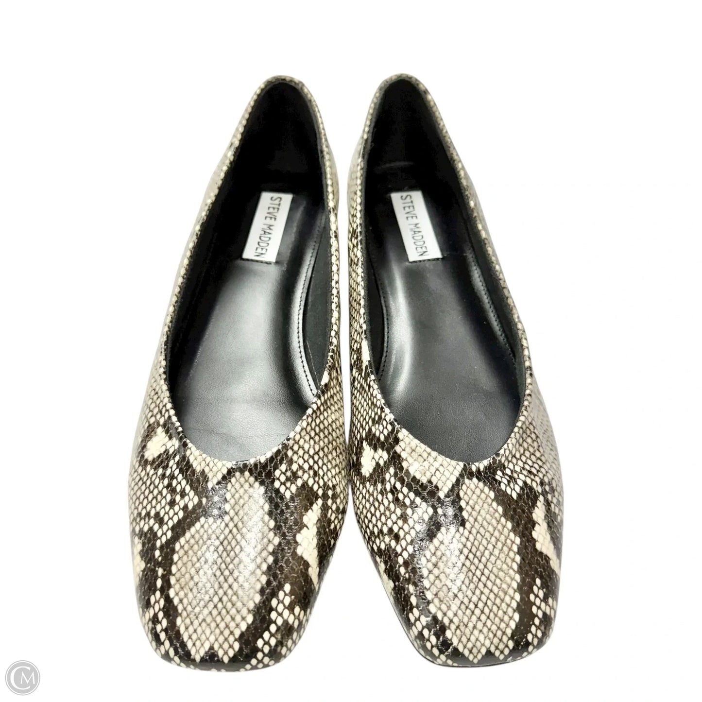 Shoes Flats By Steve Madden In Snakeskin Print, Size: 9