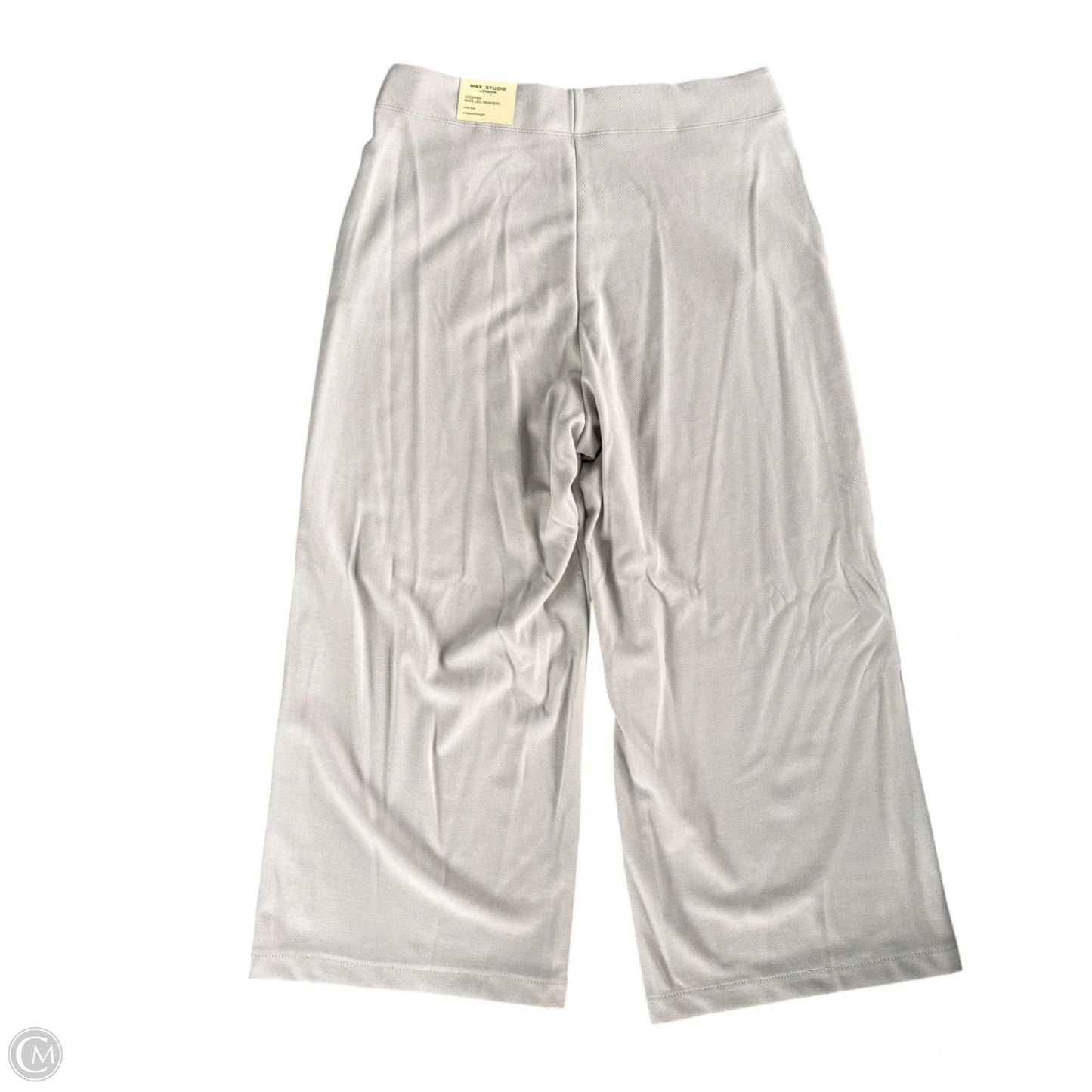 Pants Set 2pc By Max Studio In Grey, Size: L