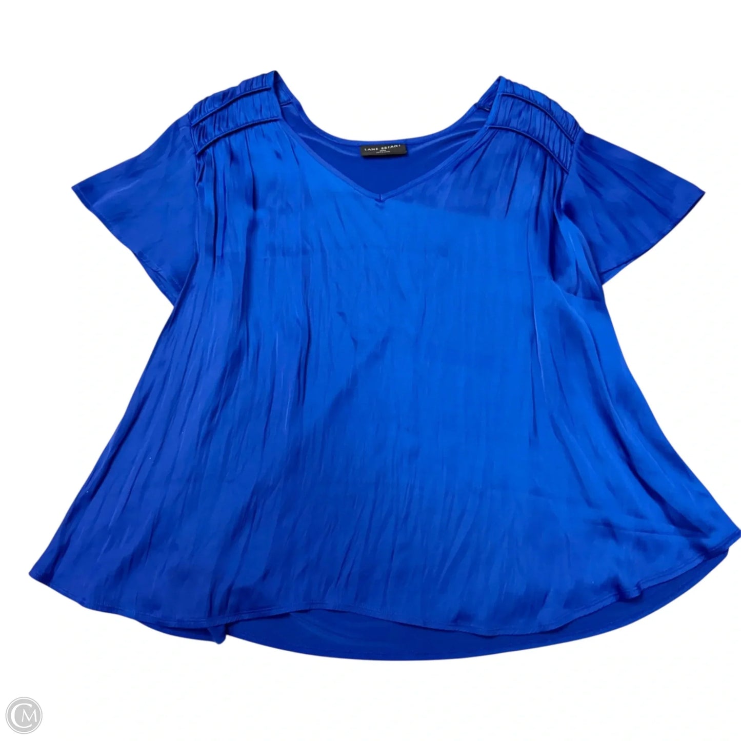 Blouse Short Sleeve By Lane Bryant In Blue, Size: 3x