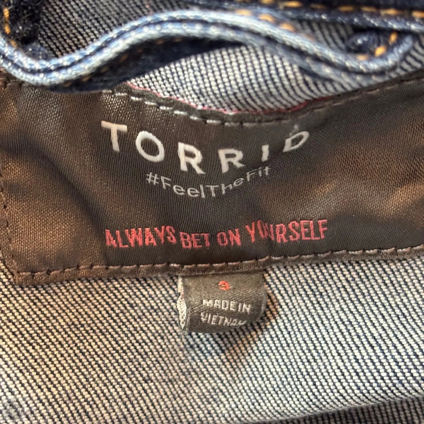 Jacket Denim By Torrid In Blue Denim, Size: 3x