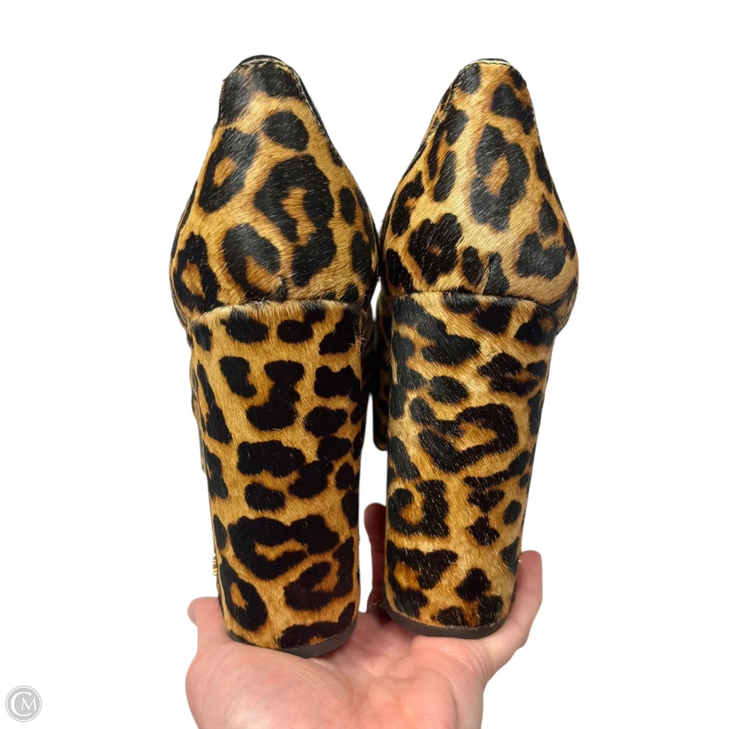 Shoes Heels Platform By Sam Edelman In Leopard Print, Size: 10