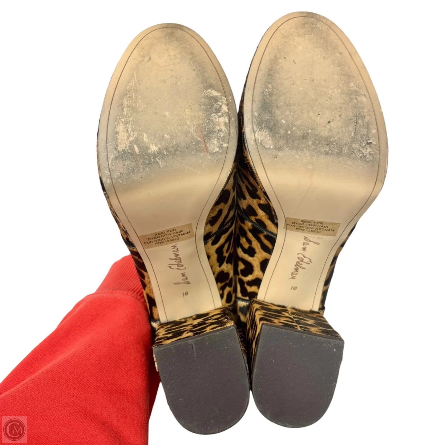 Shoes Heels Platform By Sam Edelman In Leopard Print, Size: 10