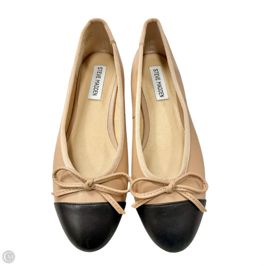 Shoes Flats By Steve Madden In Black & Brown, Size: 8.5