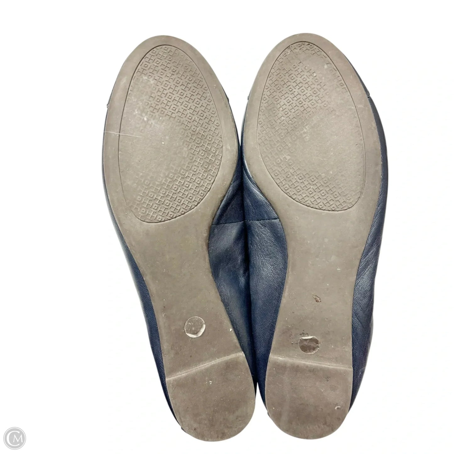 Shoes Designer By Tory Burch In Navy, Size: 7