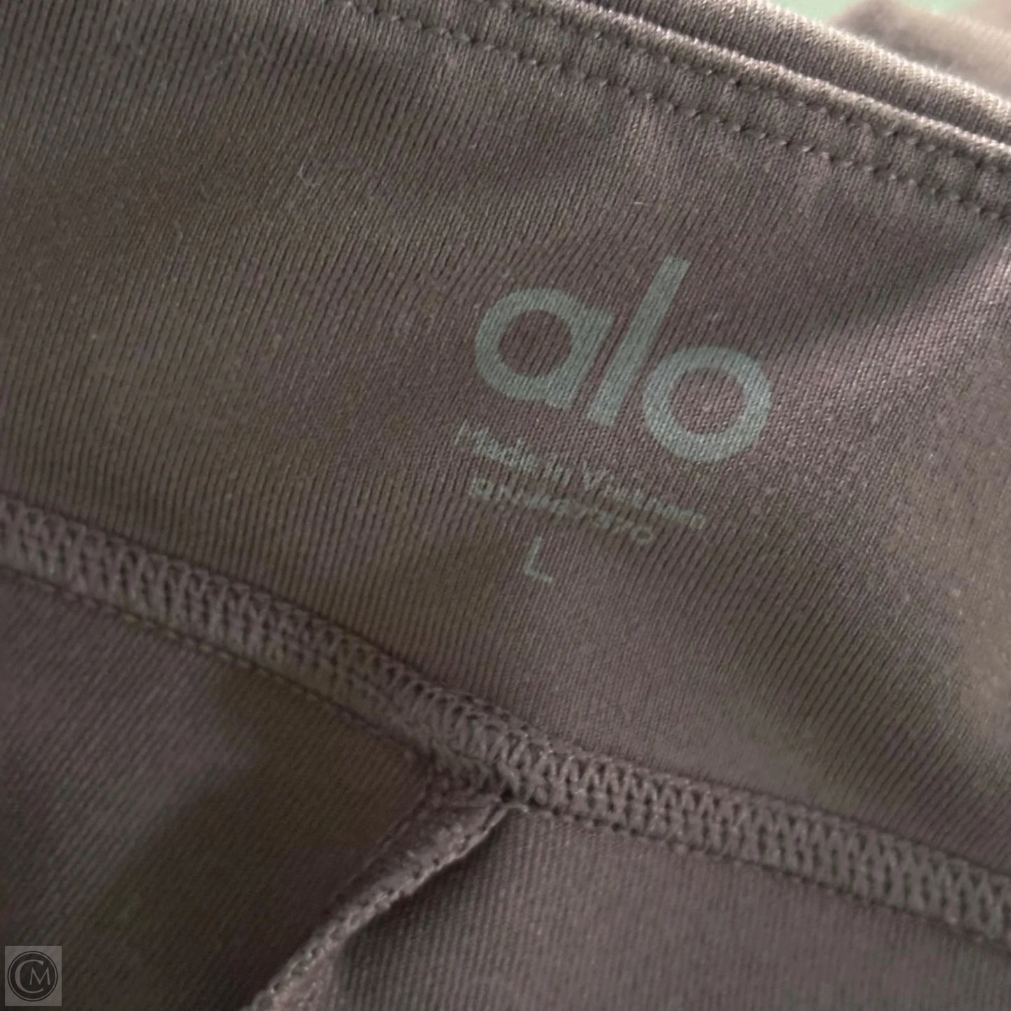 Athletic Pants By Alo In Purple, Size: L