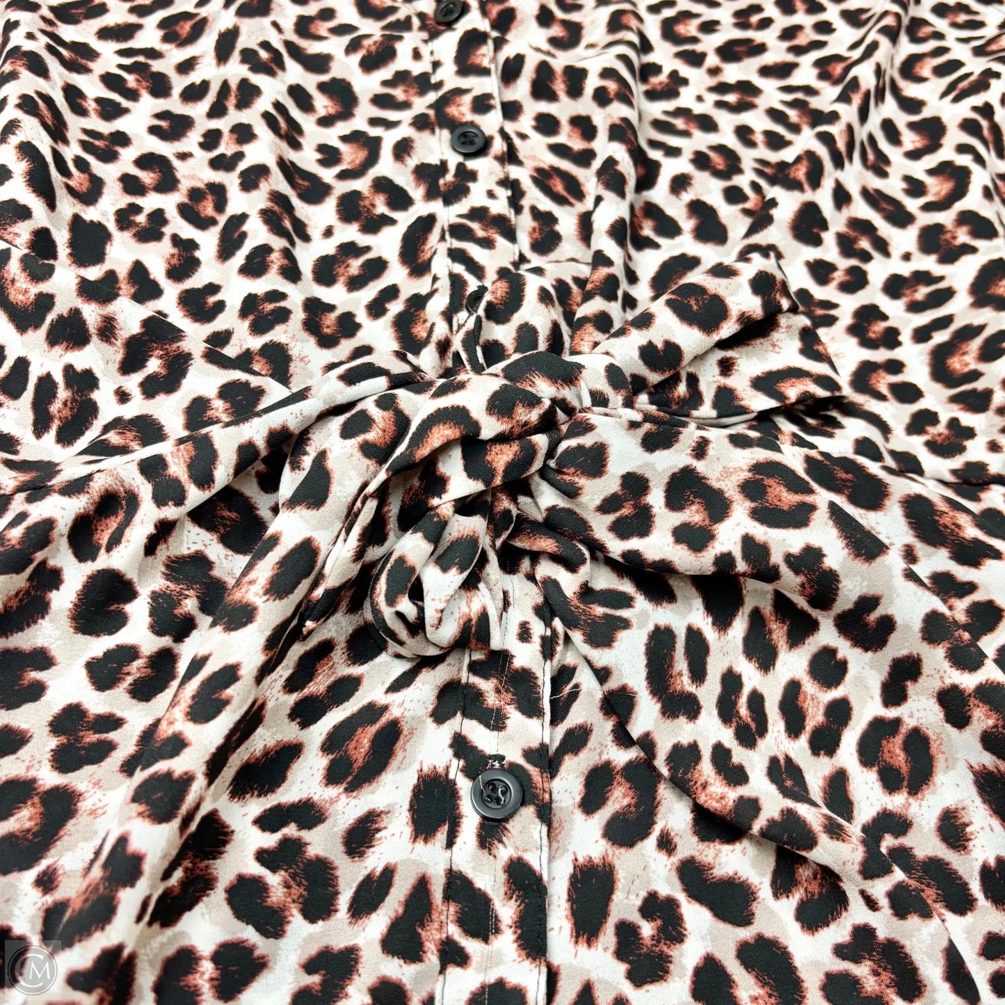 Top Sleeveless By Torrid In Leopard Print, Size: 4x