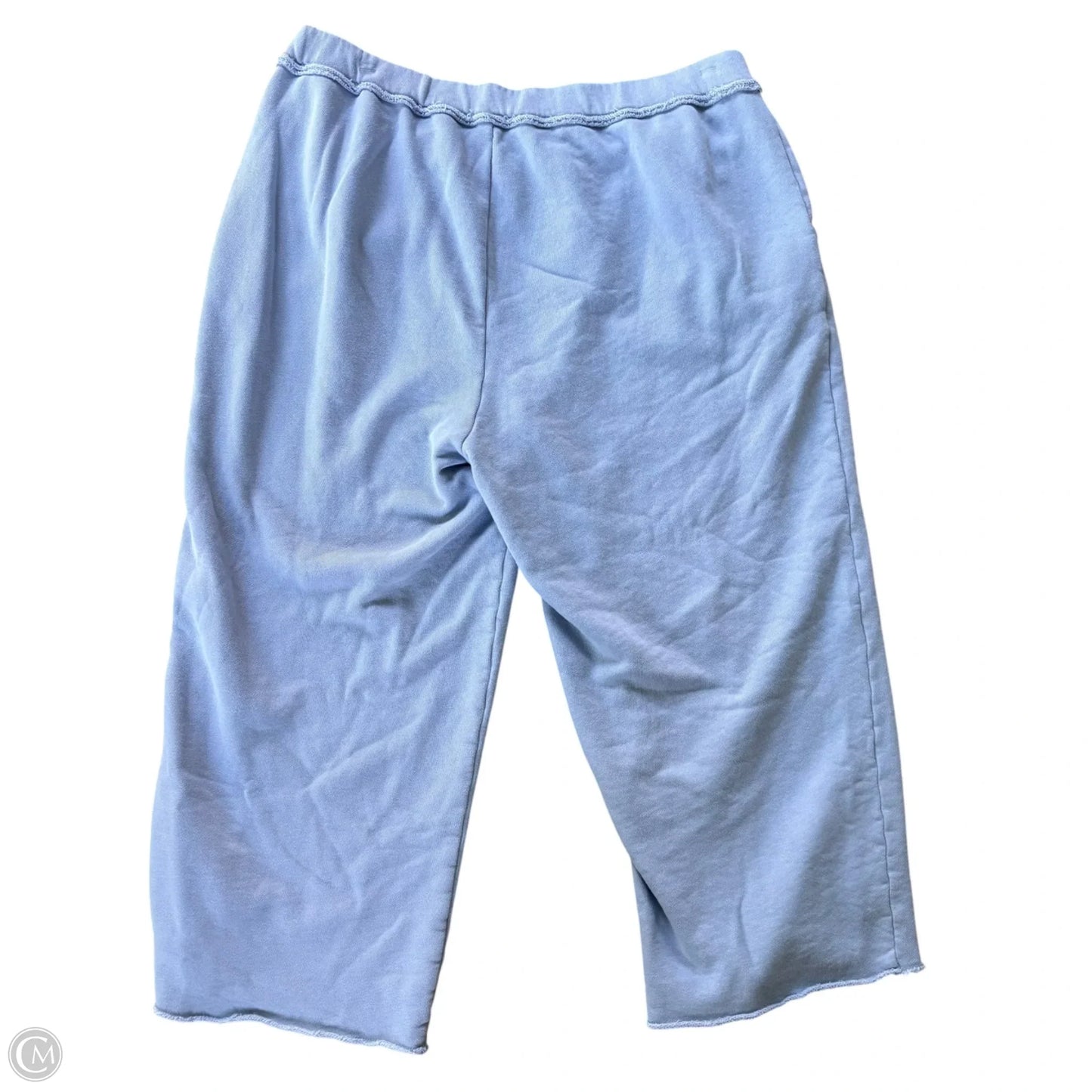 Pants Lounge By Eileen Fisher In Blue, Size: L