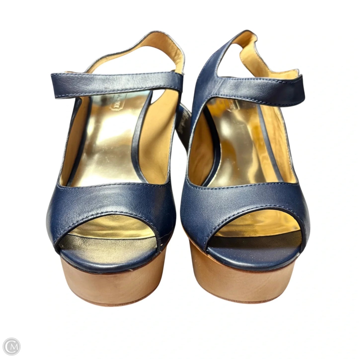 Sandals Designer By Coach In Navy, Size: 7.5