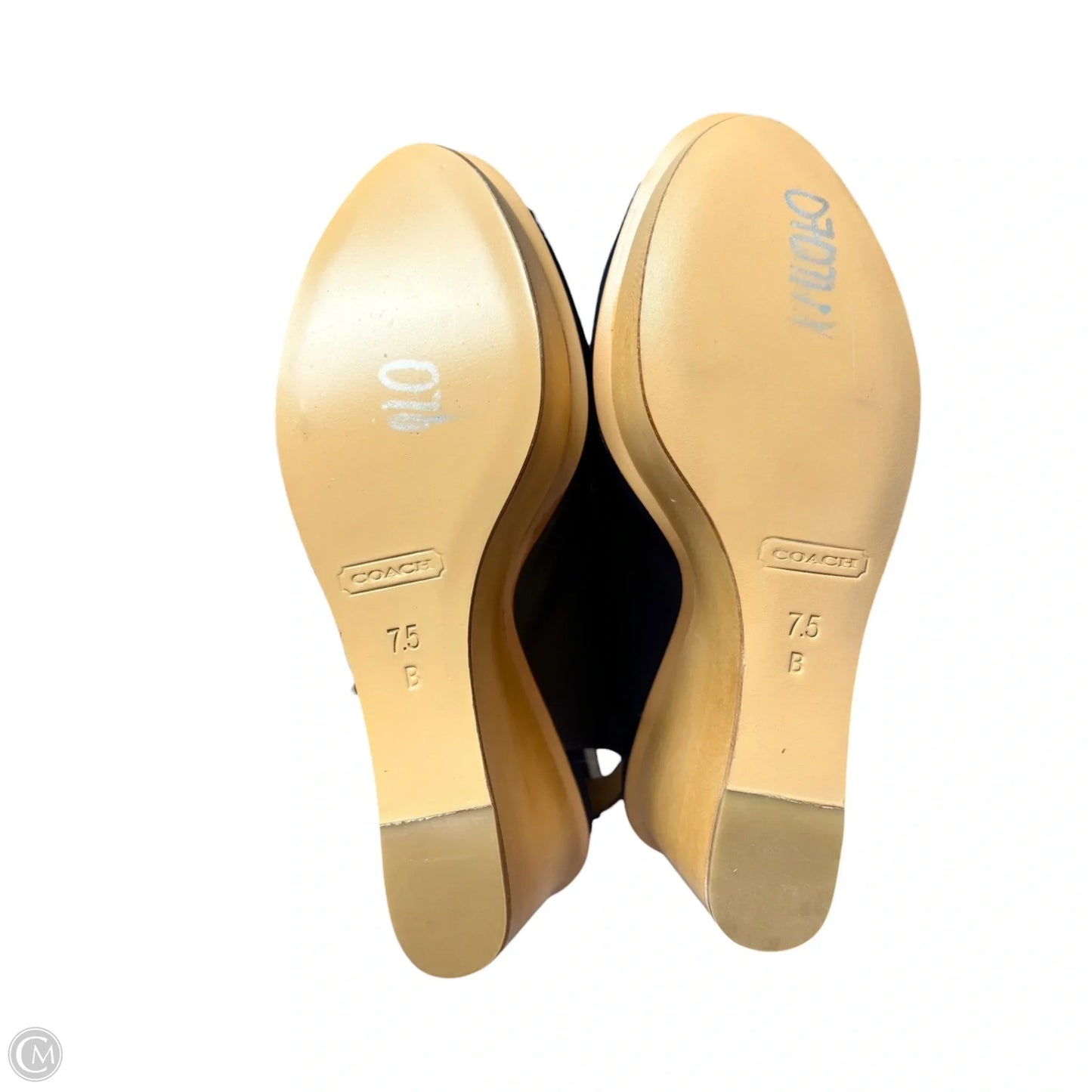 Sandals Designer By Coach In Navy, Size: 7.5