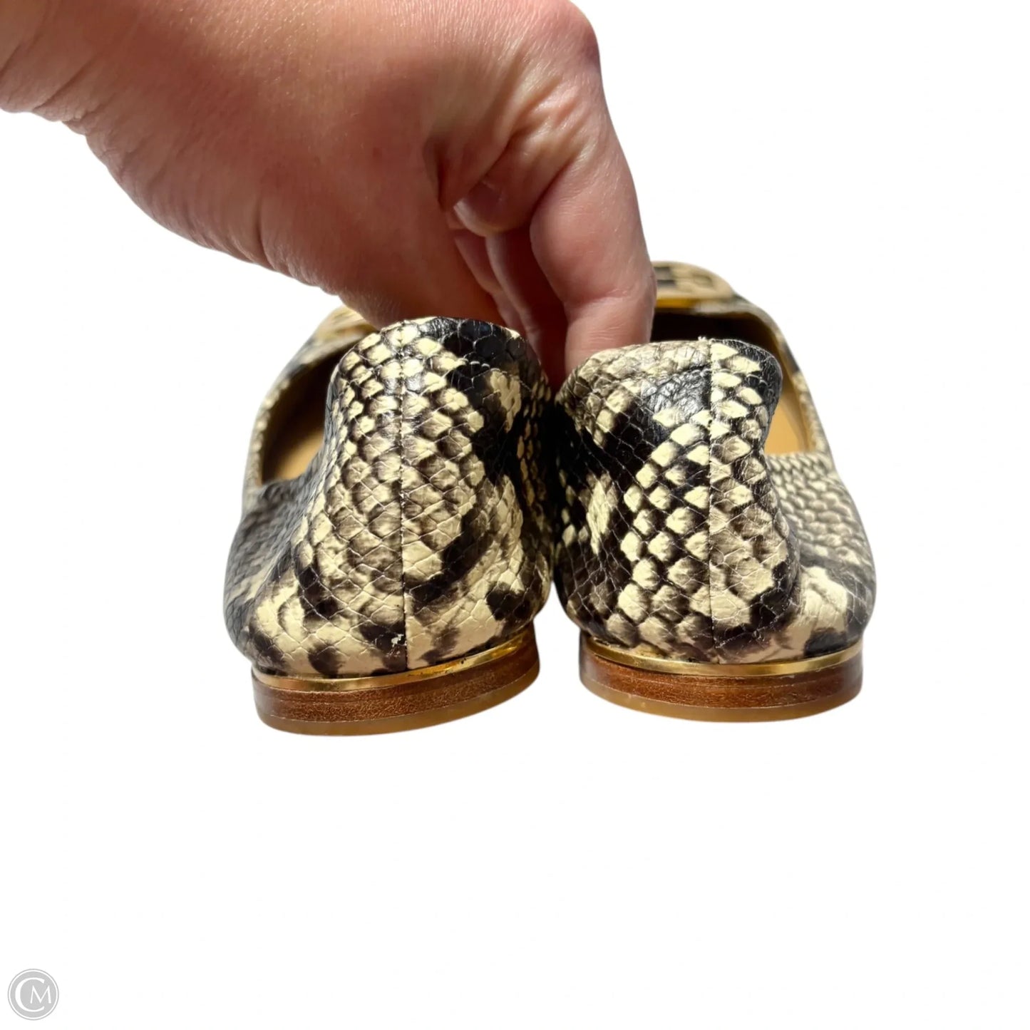 Shoes Designer By Tory Burch In Snakeskin Print, Size: 9