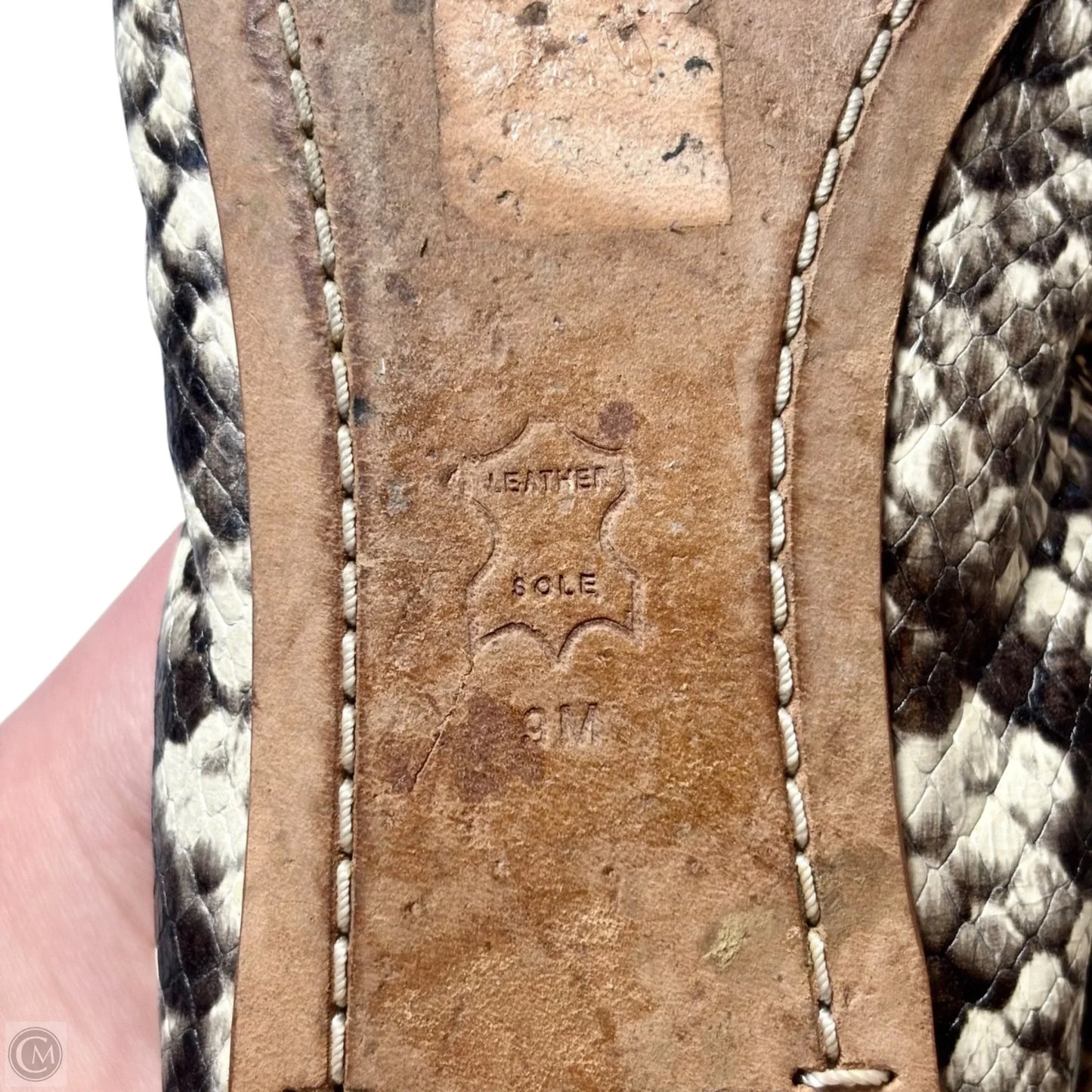 Shoes Designer By Tory Burch In Snakeskin Print, Size: 9