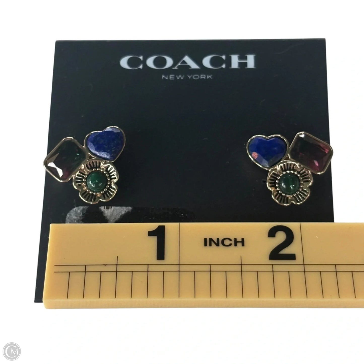Earrings Designer By Coach