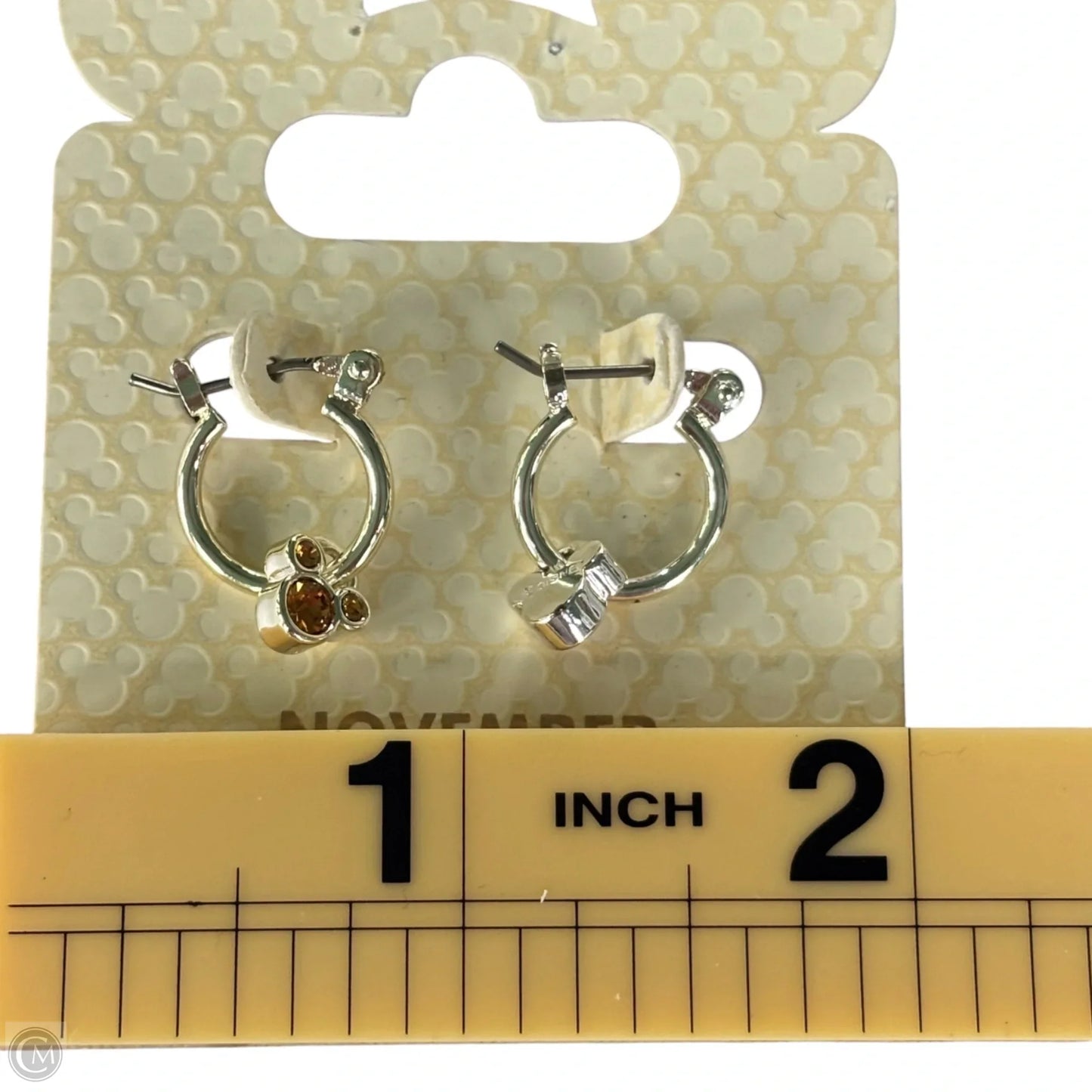 Earrings Hoop By Disney