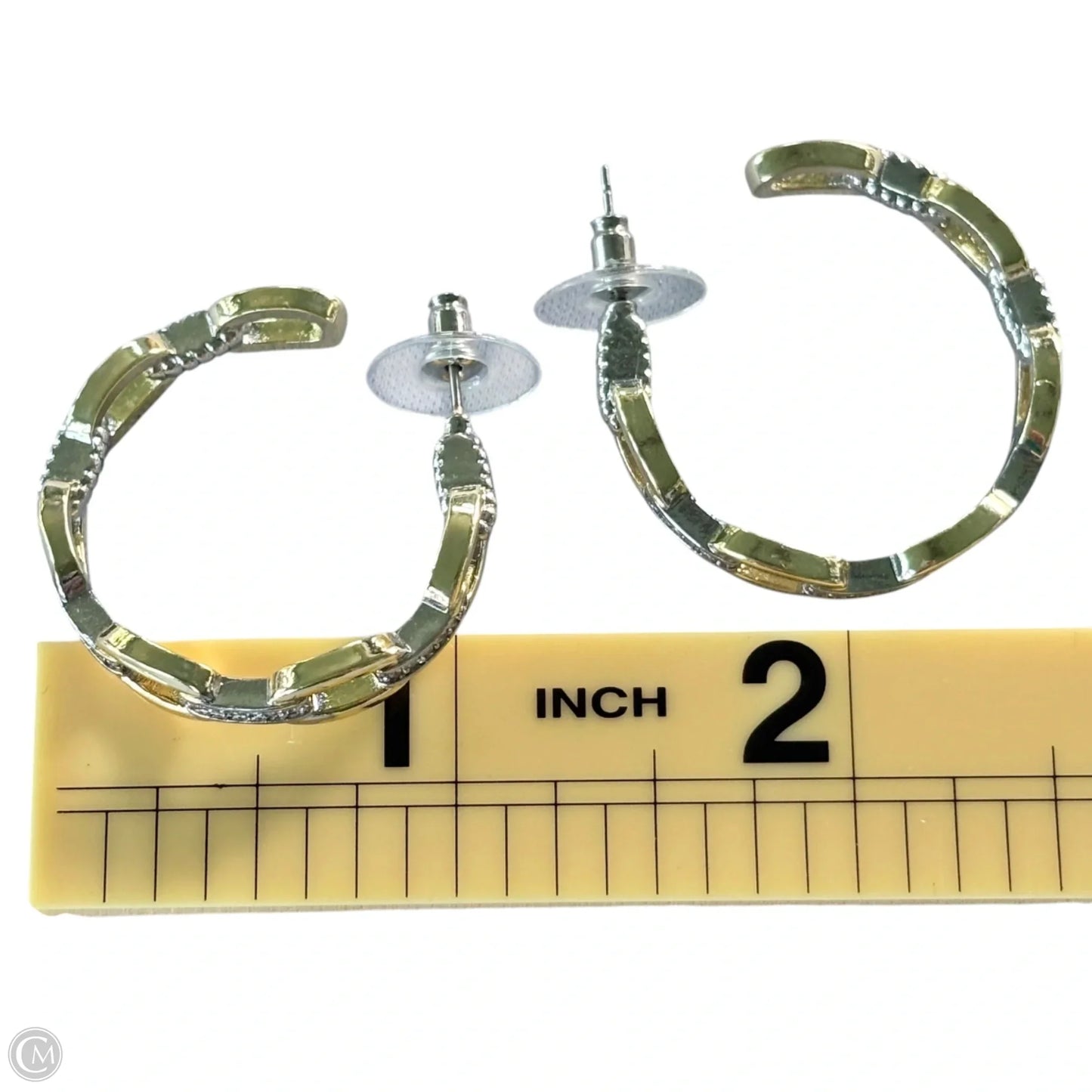 Earrings Hoop