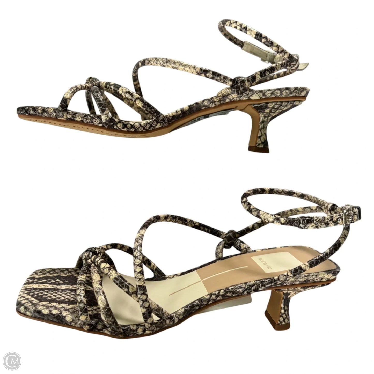 Sandals Heels Kitten By Dolce Vita In Snakeskin Print, Size: 6.5