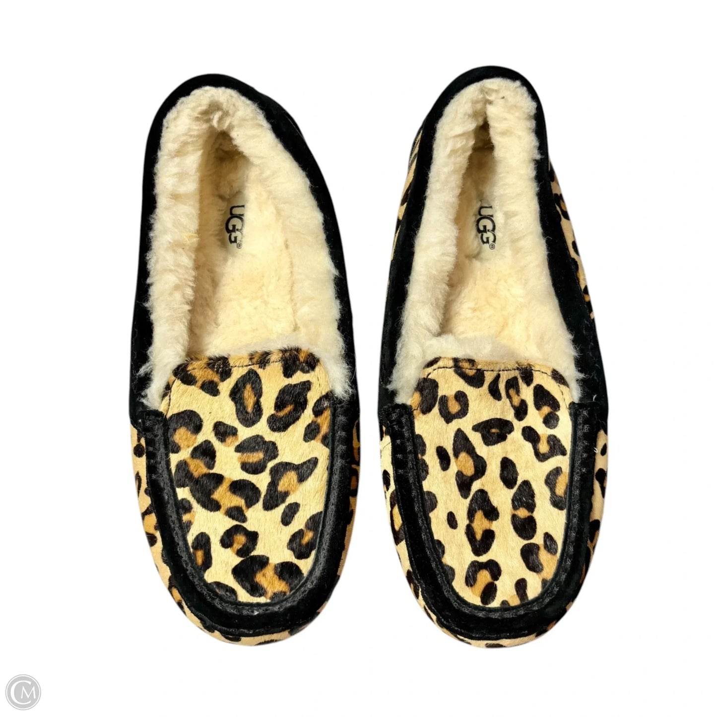 Slippers Designer By Ugg In Animal Print, Size: 8