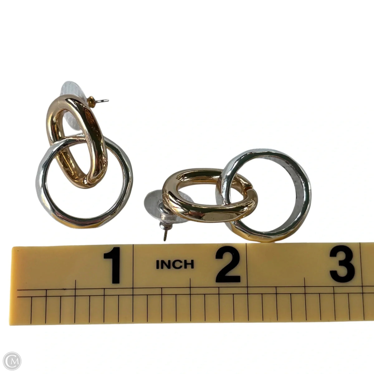 Earrings Hoop