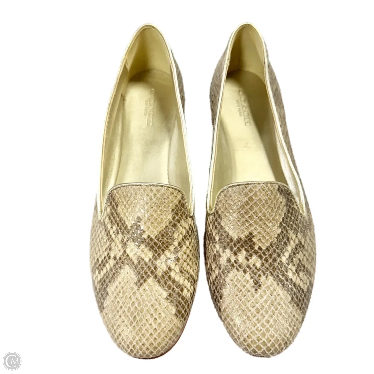 Shoes Designer By Coach In Snakeskin Print, Size: 7