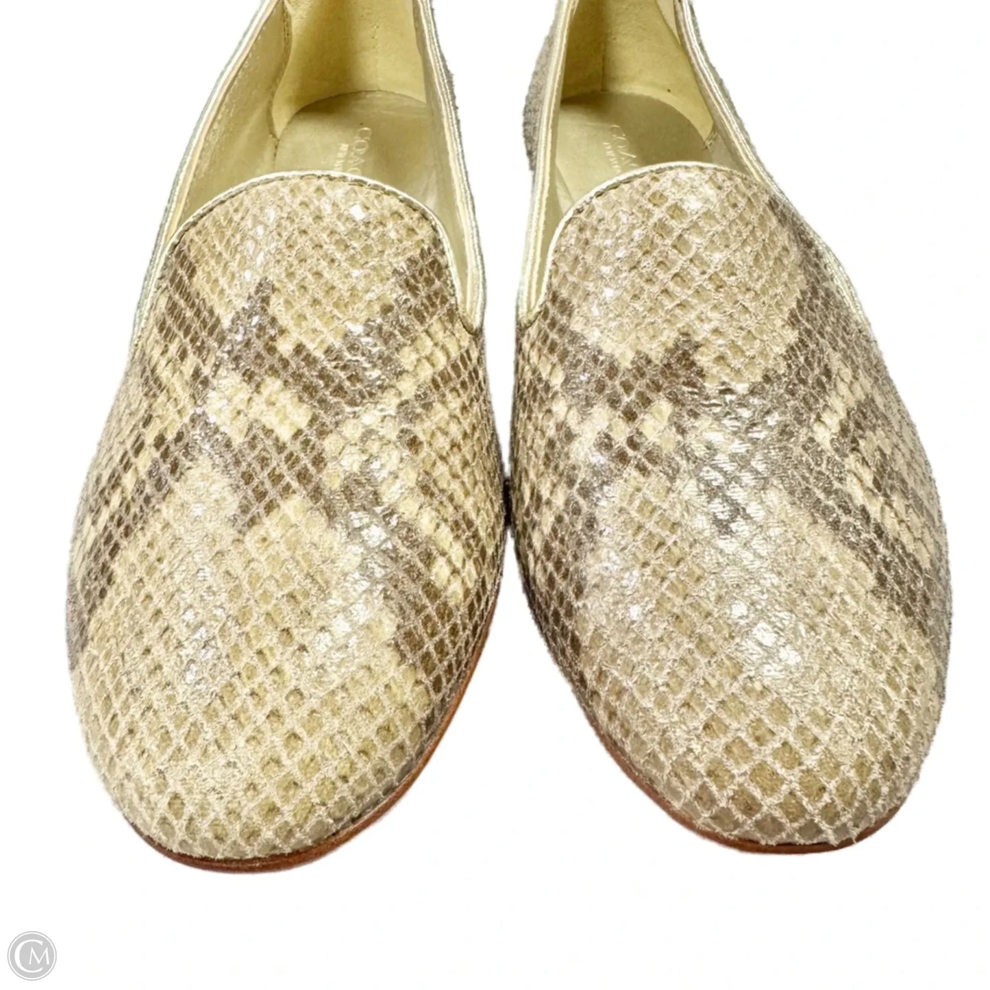Shoes Designer By Coach In Snakeskin Print, Size: 7