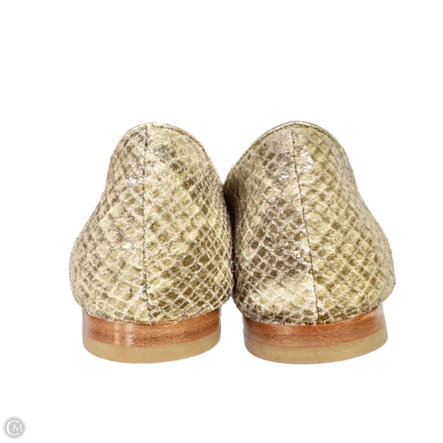 Shoes Designer By Coach In Snakeskin Print, Size: 7