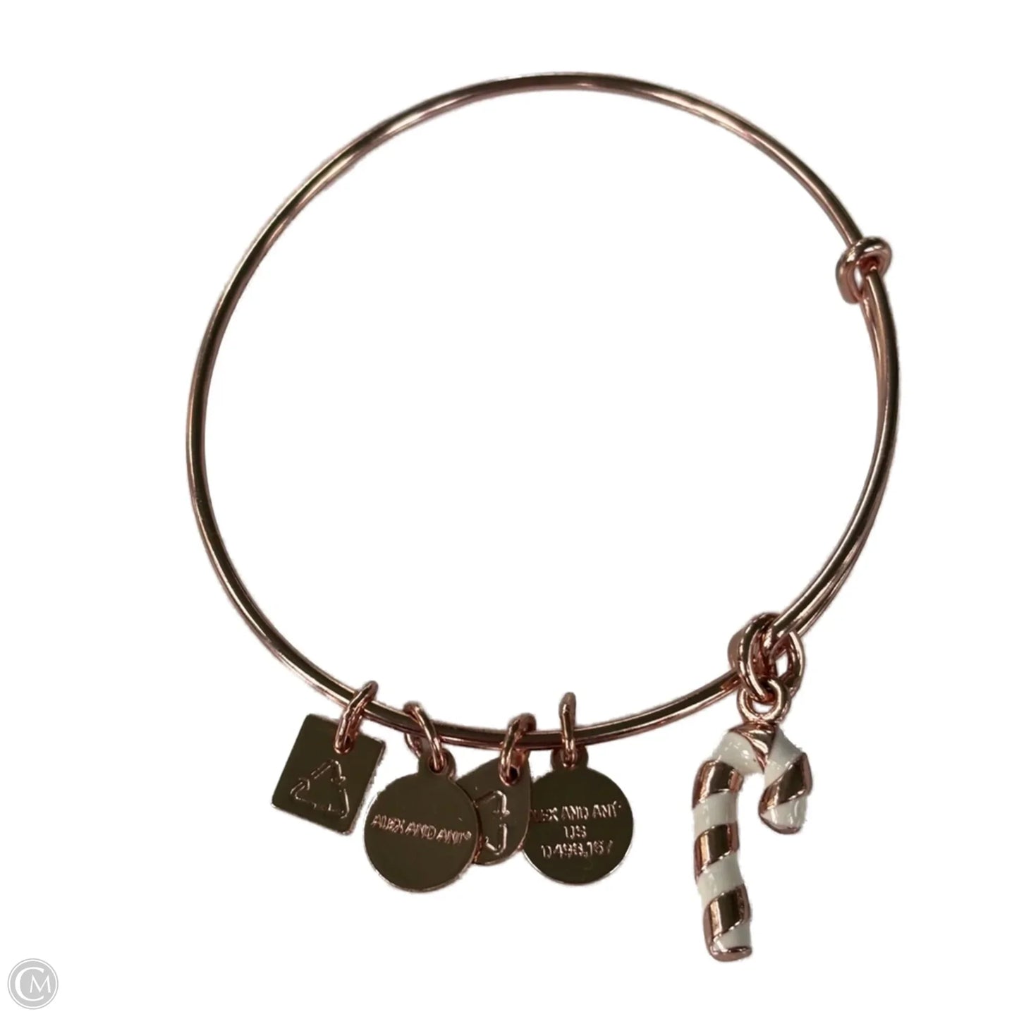 Bracelet Bangle By Alex And Ani