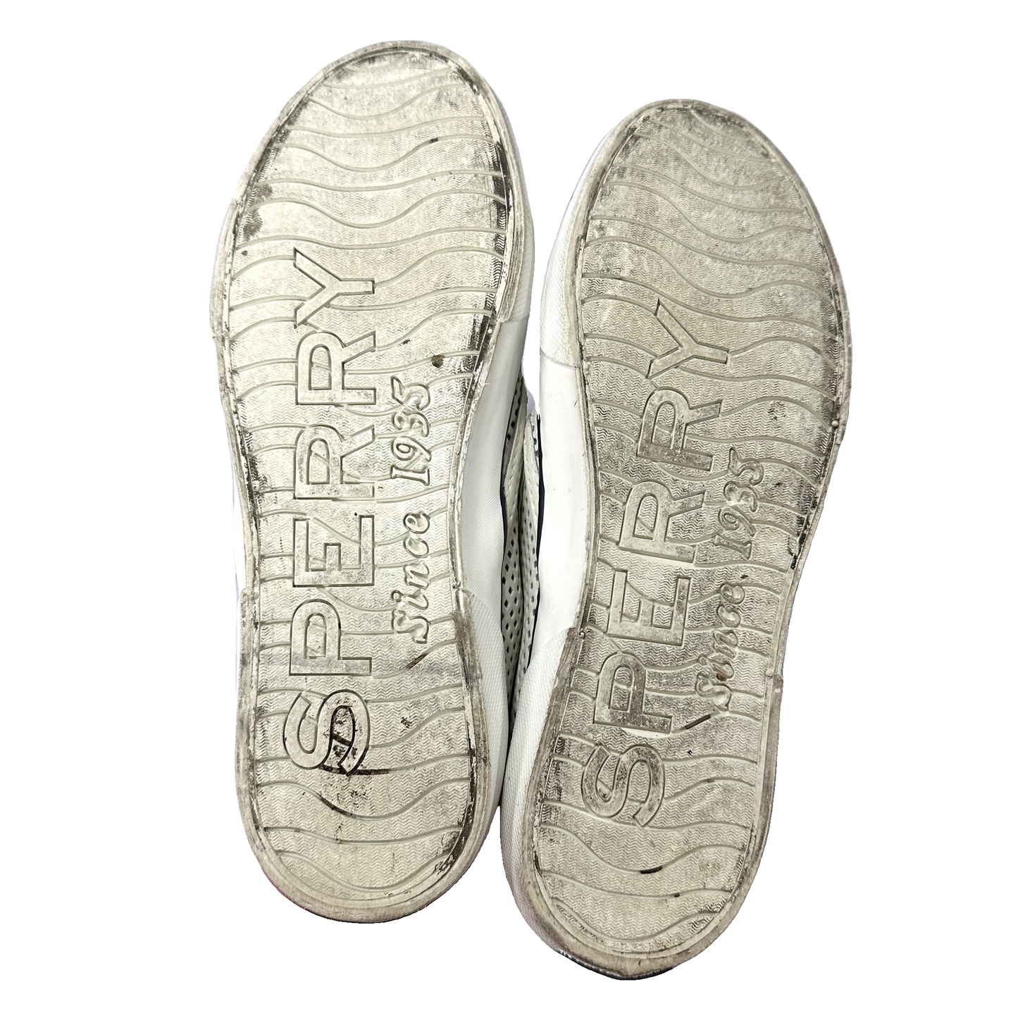 Shoes Sneakers By Sperry In White, Size: 8