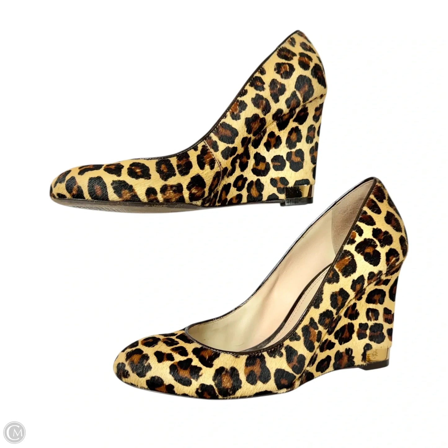 Shoes Designer By Tory Burch In Leopard Print, Size: 9