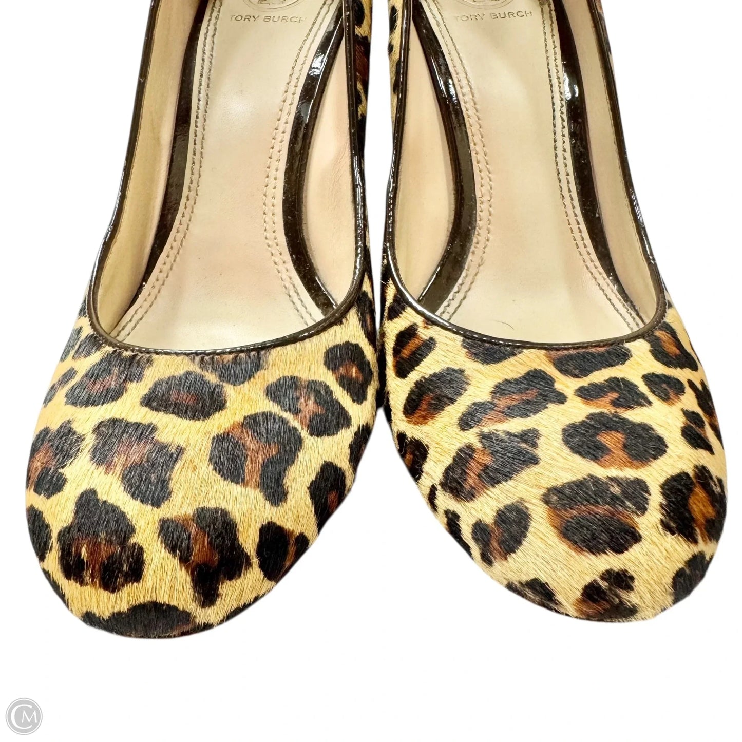 Shoes Designer By Tory Burch In Leopard Print, Size: 9