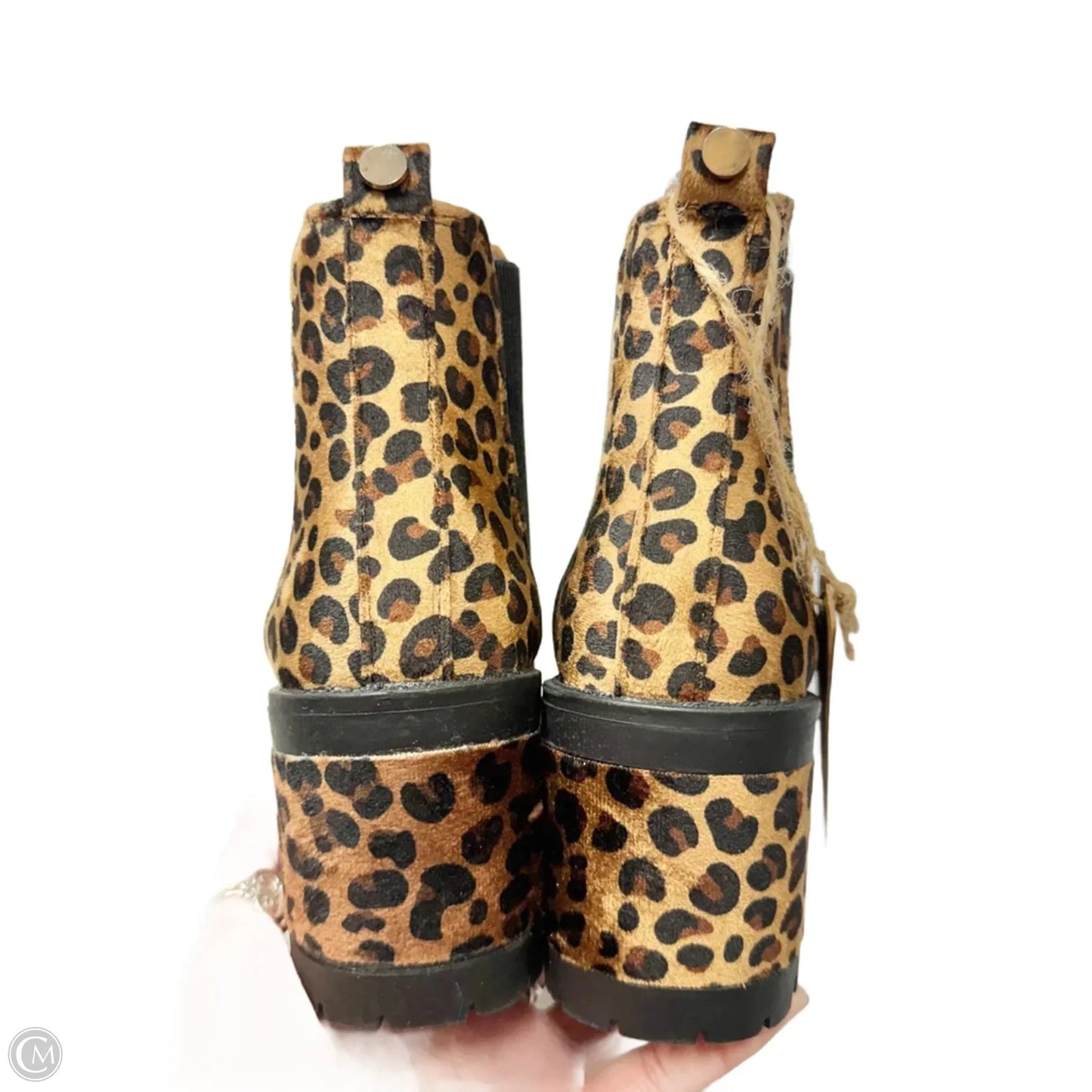 Boots Ankle Heels By Seven 7 In Leopard Print, Size: 6