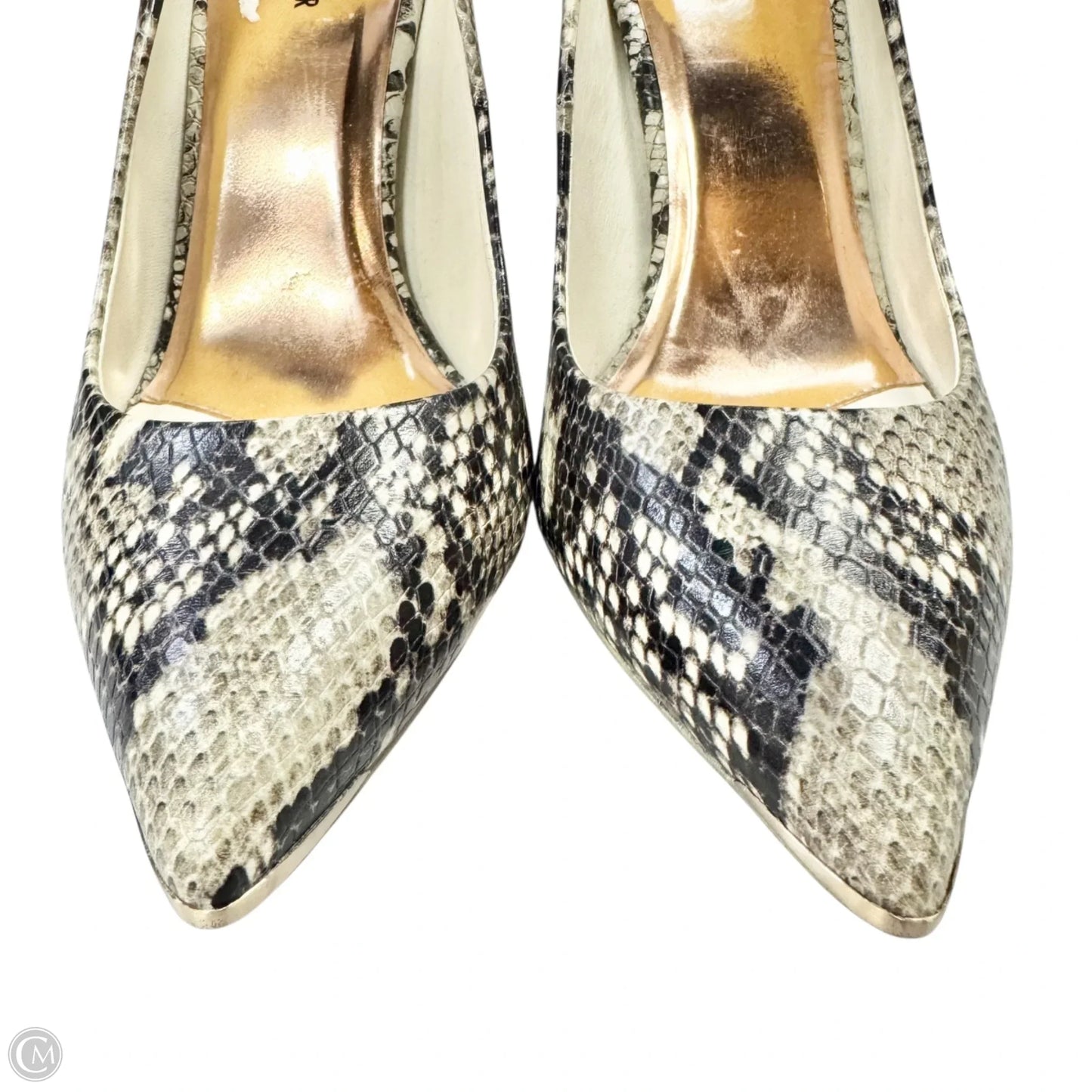 Shoes Heels Stiletto By Ted Baker In Snakeskin Print, Size: 10