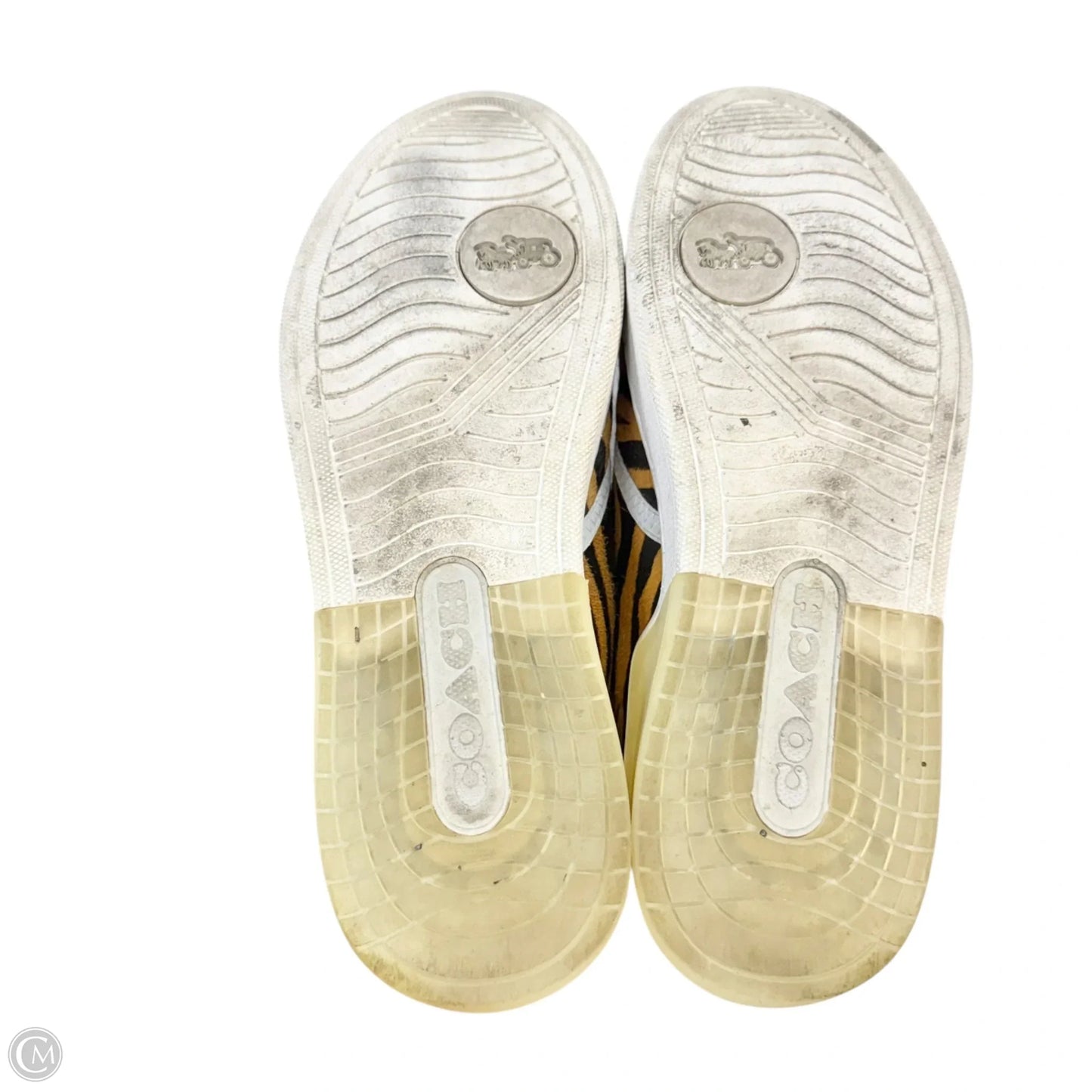 Shoes Designer By Coach In Animal Print, Size: 9