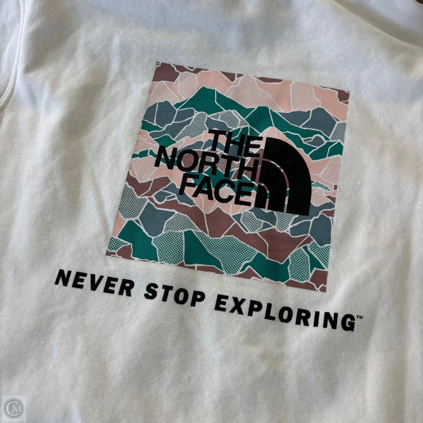 Sweatshirt Hoodie By The North Face In Cream, Size: 2x